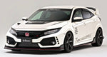 ARISING-I REAR FENDER TRIM (2-PIECE SET) FOR 2017-19 HONDA CIVIC TYPE R [FK8]