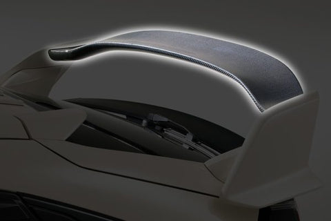 VARIS ARISING-I REAR WING FLAP FOR 2017-19 HONDA CIVIC TYPE R [FK8]