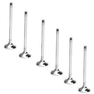 Brian Crower Intake Valves Mitsubishi Evolution X