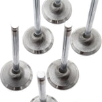 GSC P-D Chrome Polished Super Alloy Exhaust Valve - 31.5mm Head(+1mm) - SET 8 - 4G63T Evo1-9 / DSM