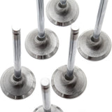 GSC P-D Chrome Polished Super Alloy Exhaust Valve - 31.5mm Head(+1mm) - SET 8 - 4G63T Evo1-9 / DSM