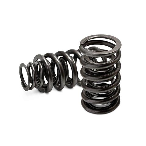 GSC P-D Ovate Beehive Valve Spring - Universal