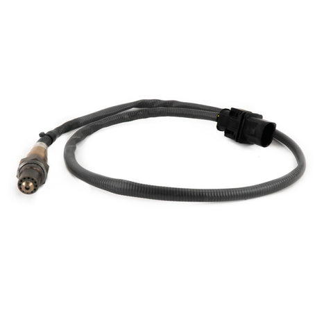 Innovate LSU4.9 O2 Sensor (Bosch) 3888 - Universal